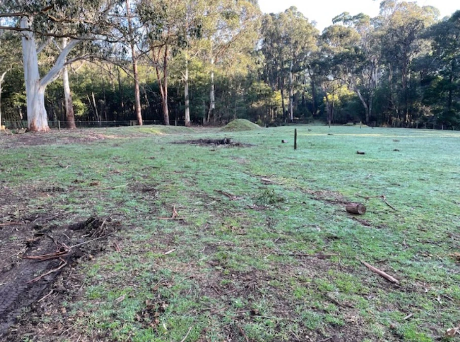 castella_horse_arena_before